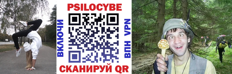 купить наркотики цена  kraken tor  Псилоцибиновые грибы MAGIC MUSHROOMS  Снежногорск 